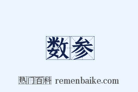 数参是什么意思的图片